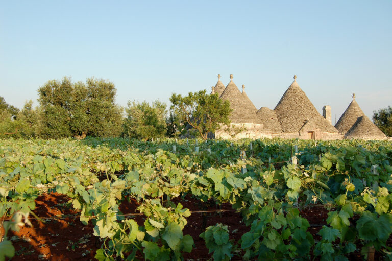 upal cisternino