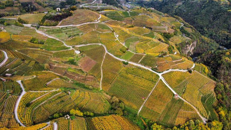 Valle di Cembra_Archivio foto Ets Cembra_Ph.Luca Dalvit (3)_lr