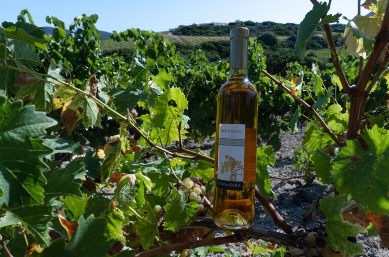 Cantina Fara