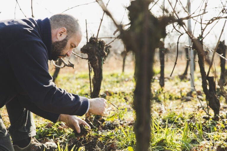 Vino_Cescon_0154