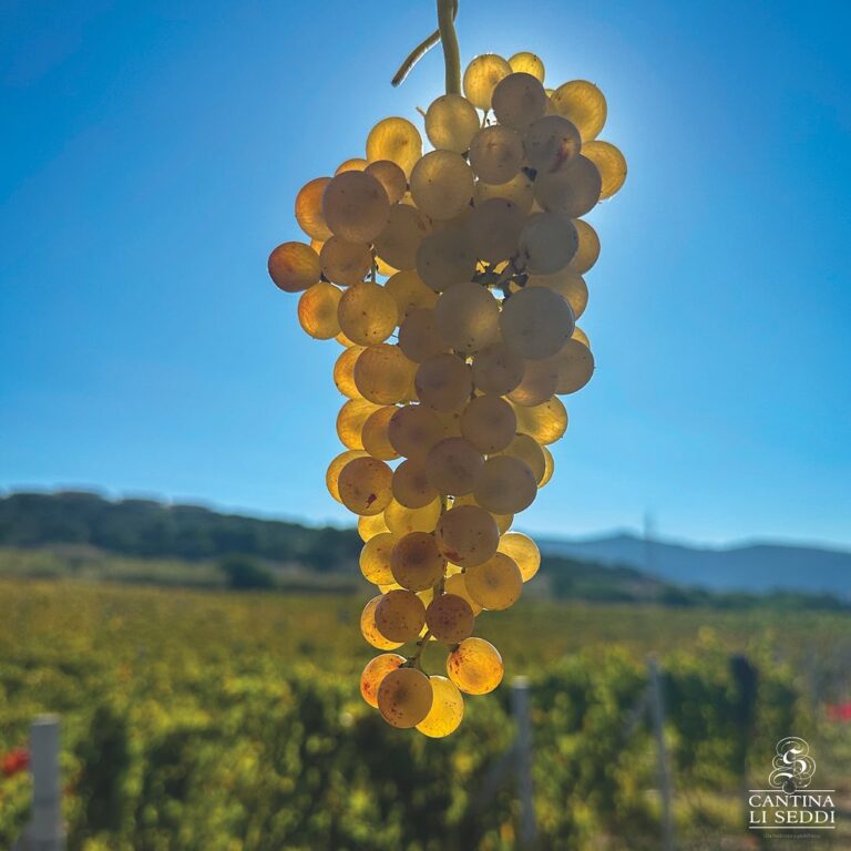 cantina li seddi