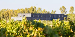 foto cantina quartomoro