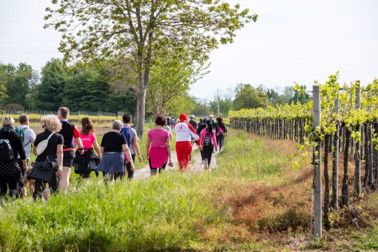 devis.solerti_DEV6467-010523 copia 2