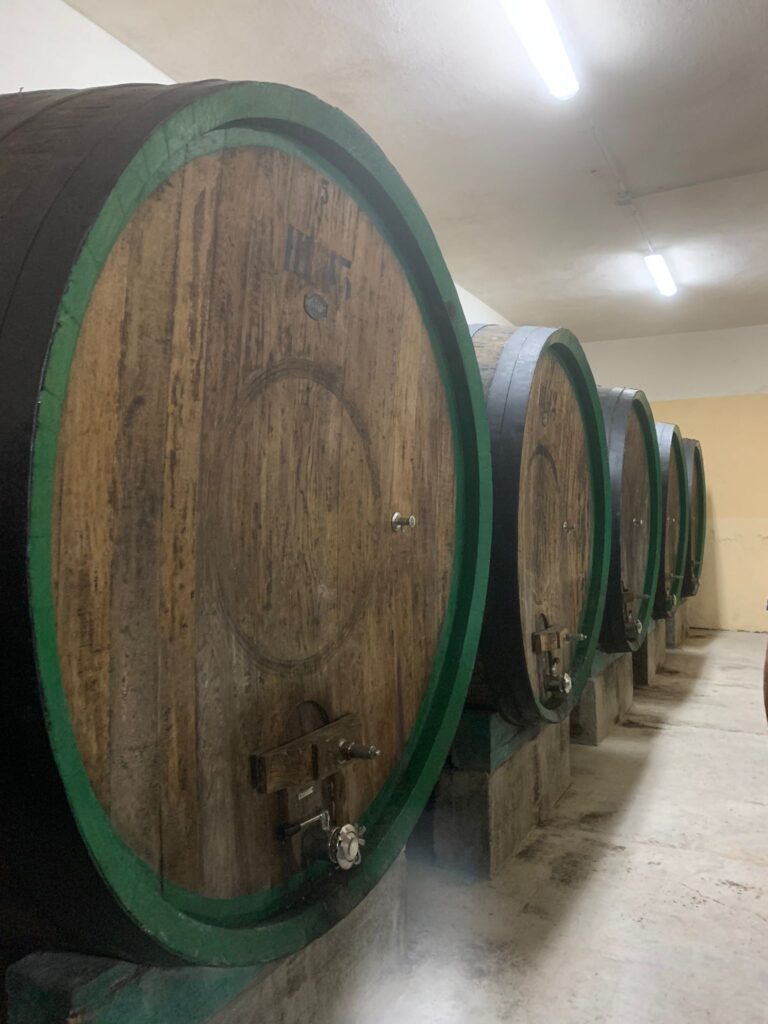 16 Crediti Cantina del Mandrolisai