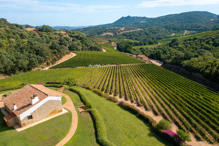 DJI_0992