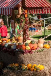 DiVinOttobre_FototecaAPTValsuganaLagorai