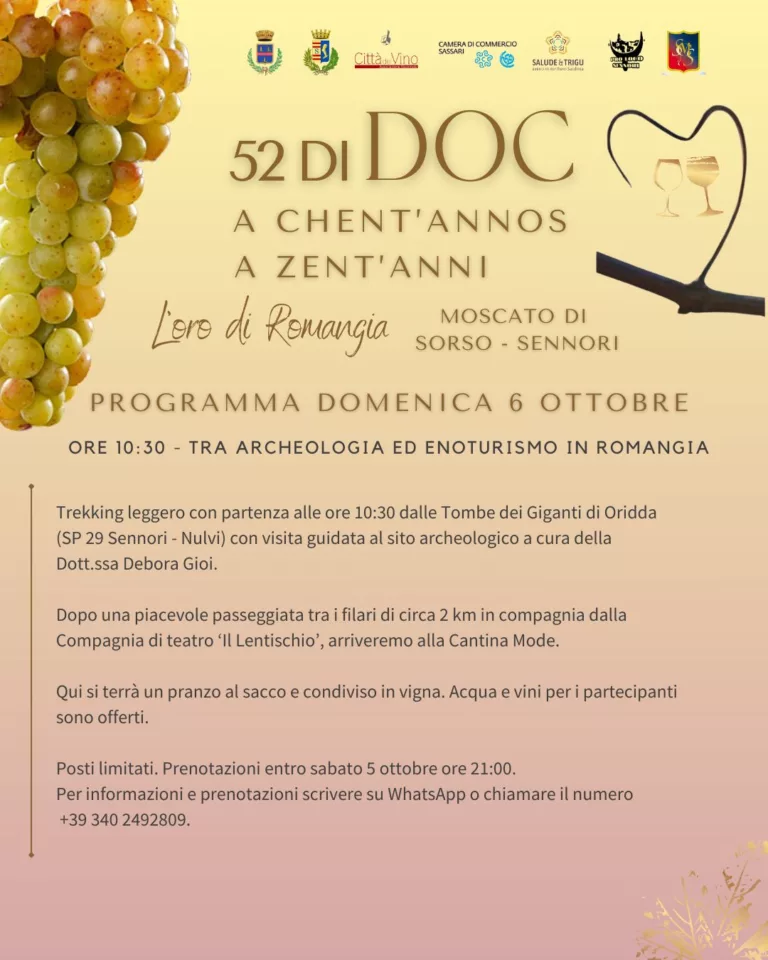 Immagine WhatsApp 2024-10-03 ore 15.52.16_7fd2f697