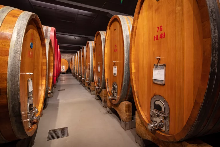 TRAVAGLINI • VENDEMMIA_-76