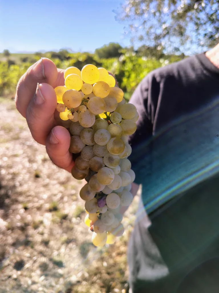 IMG_20240910_090338824_HDR_AE