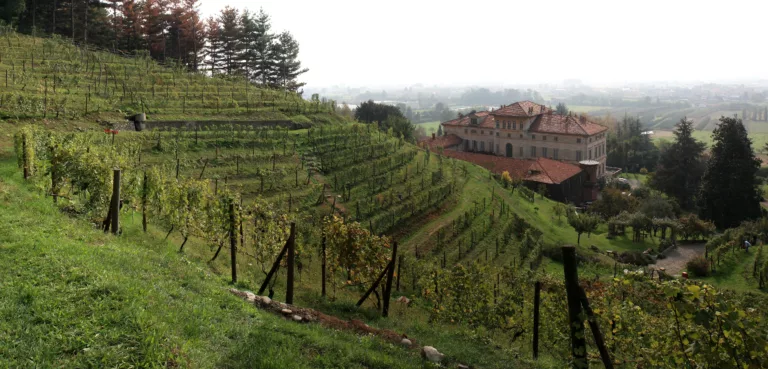 Vigna_VillaEra_Panorama2