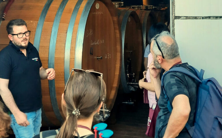 Passi e parole di vino cantina
