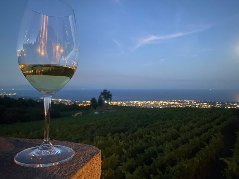 VM25_Milo, degustazioni in vigna al tramonto_01