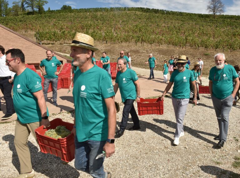 vendemmia turistica didattica daniele modesto bluefoto 2