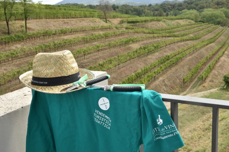 vendemmia turistica didattica daniele modesto bluefoto 3