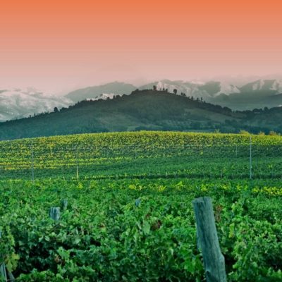 10848915_626503697455515_5613839215682824702_o