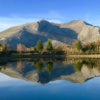 15252692_933529993419549_4548314899887726020_o