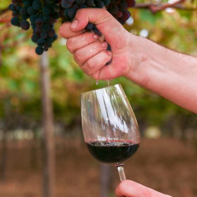 Cantine Dalena