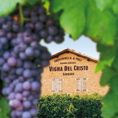 CH Vigna del Cristo casa CAVICCHIOLI