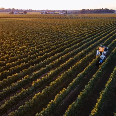 Vendemmia 2021-40