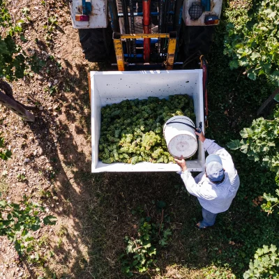 Vendemmia 2021-77