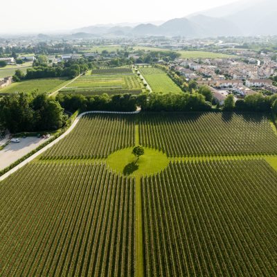 Vista aerea vitigni ca' da Roman