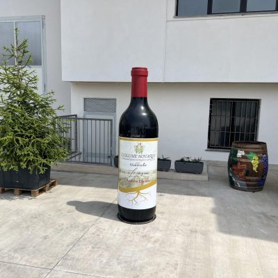 antiche cantine4