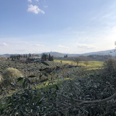 podere la quercia (1)